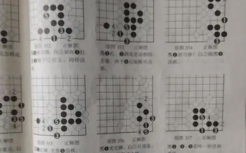 白热化：北大团队发布5D世界模型