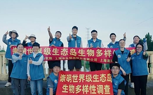 硅藻家族喜提“上海籍”成员！申城科研团队发现新物种“崇明盘杆藻”