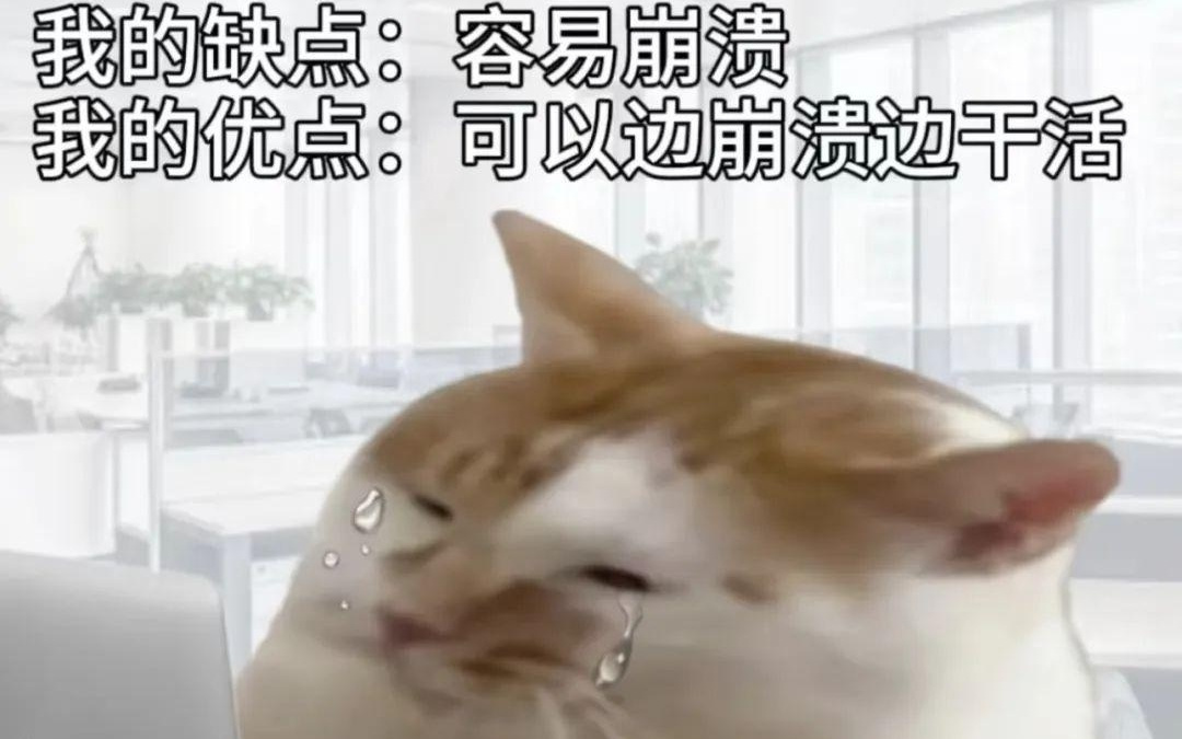 Win 11升级这个劫，我是非渡不可吗？