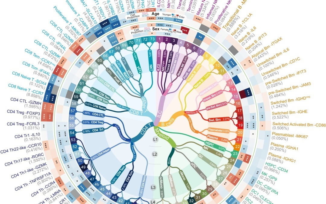 全球首个！千万级免疫细胞图谱成功绘制，有望提供未来治疗方案