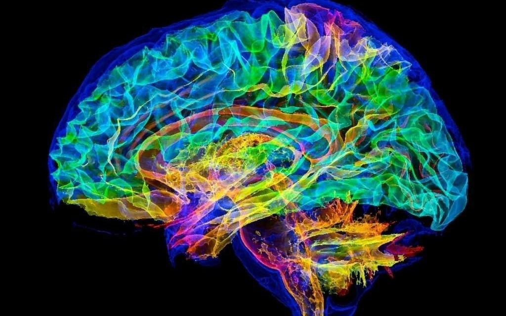 科学家拟利用E级超算模拟完整人脑