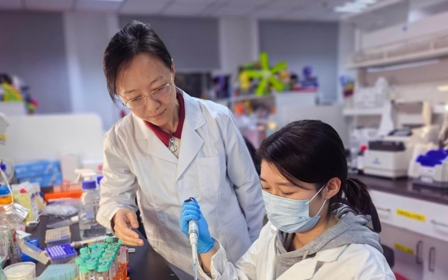 在脑脊液找到神经退行性疾病分型密码，上海交大团队成果登《细胞》