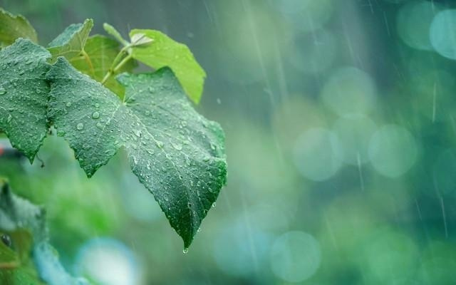 《全球气象发展报告2025》发布：数字孪生地球、无人机探测等成全球气象年度热词