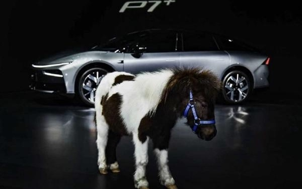 小鹏新年首场发布会用魔术开场：2026款P7+后备箱能塞下一匹马