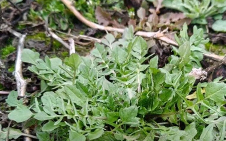 浙江全省正在严查！“不要购买，更不要驾驶”