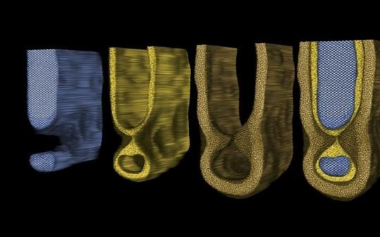 半导体重大突破！人类首次观察到芯片内部“鼠咬”缺陷