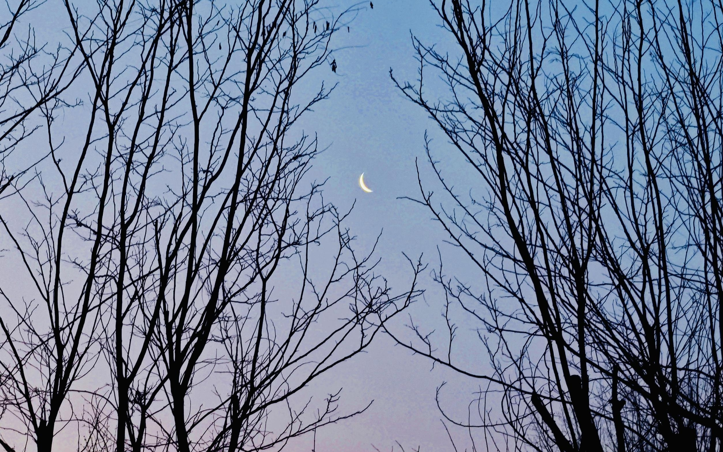 年度最小残月现身夜空，那一抹浅浅的清辉你看到了吗？