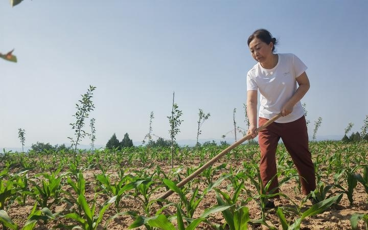 当AI浪潮来到西部山乡小县