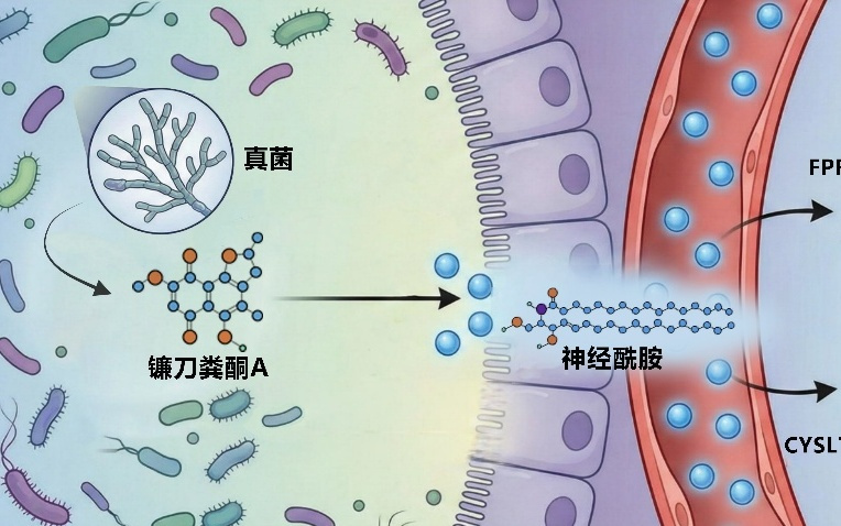科学与健康・聚焦中国科学十大进展|新研究发现心血管与代谢性疾病防治靶点