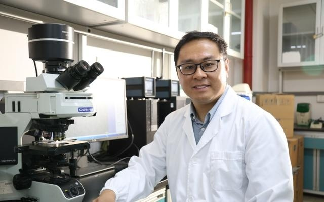 新时代青年先锋奖获得者金龙：一位动物育种学家的16年“猪”事