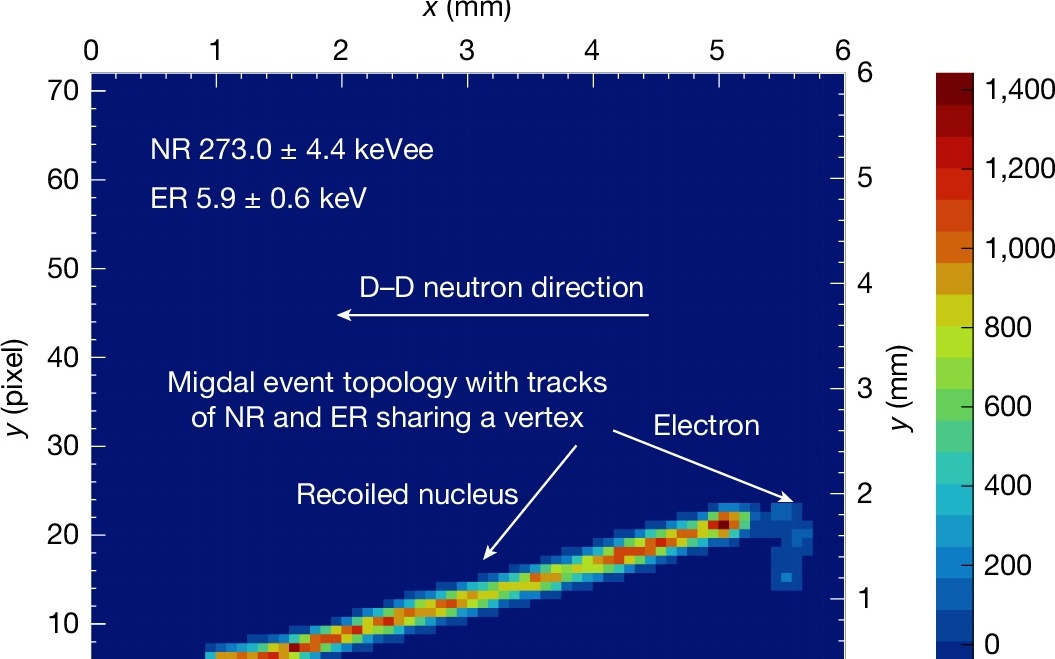 登顶《自然》：我国科学家首次直接观测到米格达尔效应