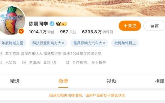 多平台被禁言后，车评人陈震发声