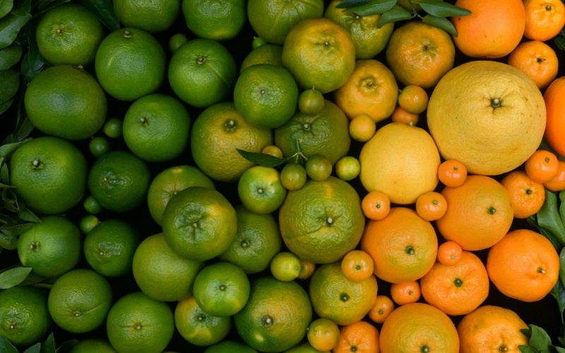 我国科研团队找到柑橘变甜基因“开关”