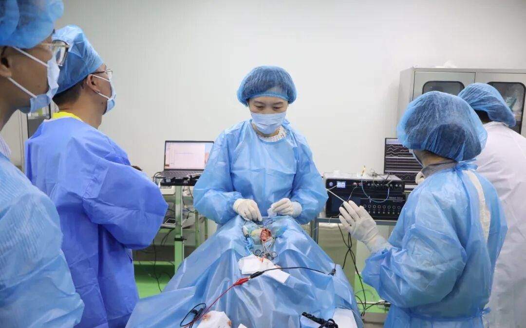 植入式脑机接口助力视觉重建，深眼医团队公开最新研究进展