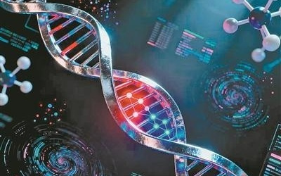 人类基因组中发现新的突变热点