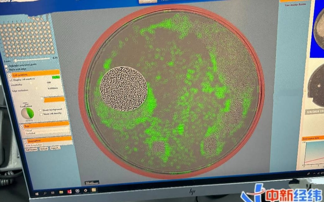 产业一线｜从筛选一粒细胞到“拿掉”化疗，一款狙击癌症的新药如何产生？