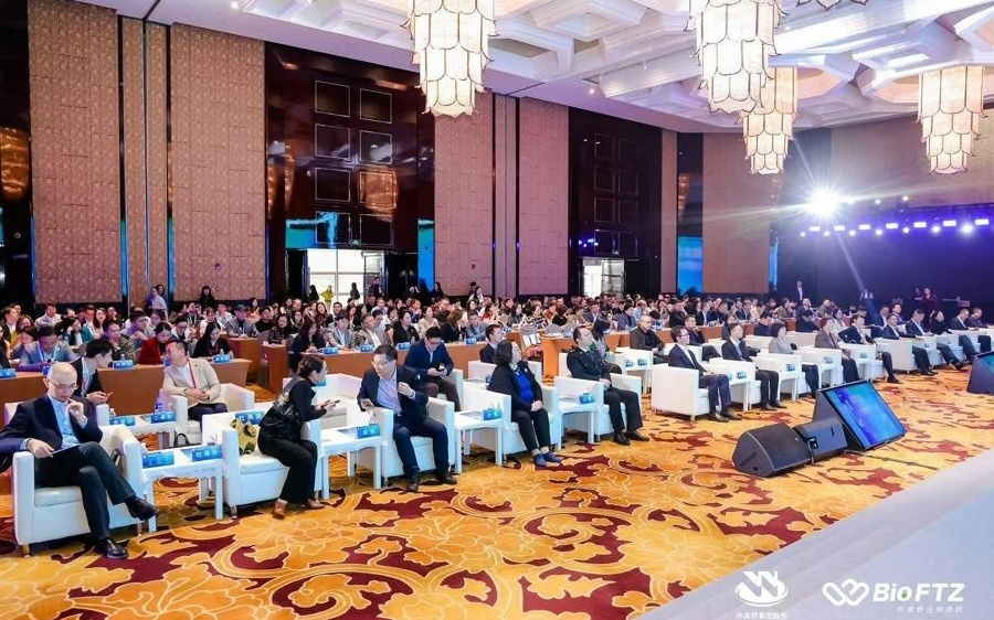 拥抱“东方枢纽”新机遇，外高桥启动“脑机接口伙伴计划”