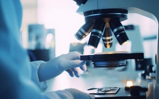 “中国版SCI”在沪发布:生命科学中国贡献率超三成,上海AI4S优势明显