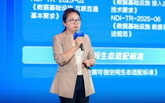 北京市医药健康可信数据空间投入使用，国产架构适配多种芯片｜北京经济新航标
