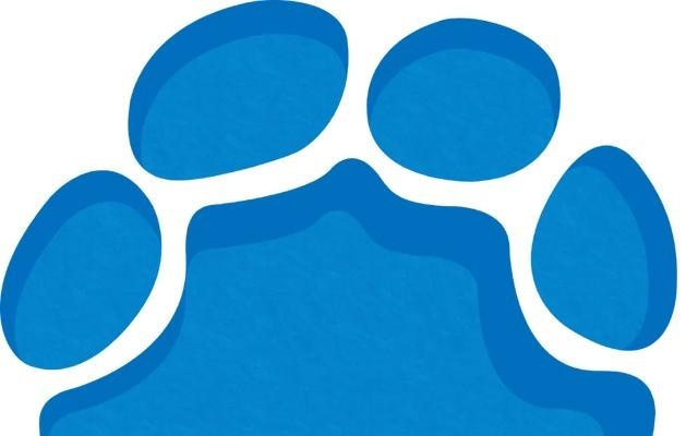 支付宝集福活动2月3日开启，新增“健康福”红包