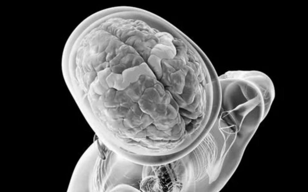 “两院院士评选2025年世界十大科技进展新闻”揭晓