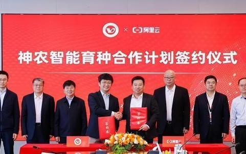 用AI设计种子，中科院遗传发育所接入千问打造育种“数字大脑”