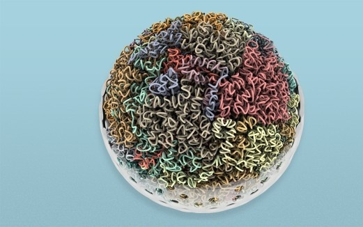 耗时10年，人类染色体4D图谱发布：揭开DNA折叠真相，探究不明遗传病原因