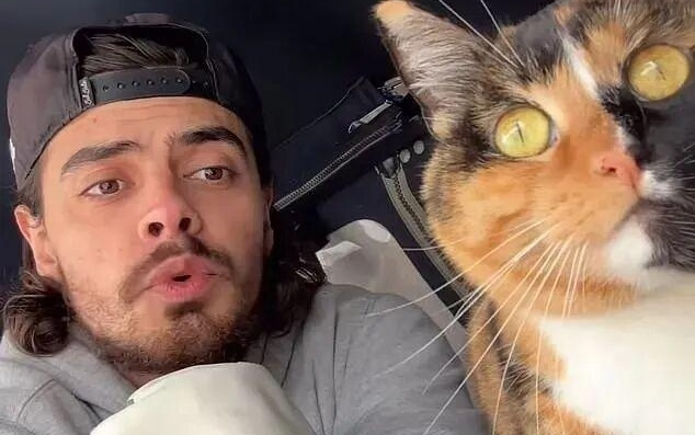 Google发布2025搜索年鉴，中国今年上榜很多次