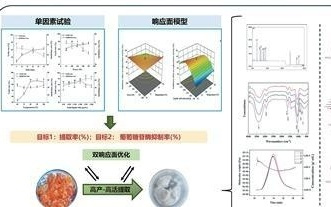 超声新工艺 高效取桃胶（科技瞭望）