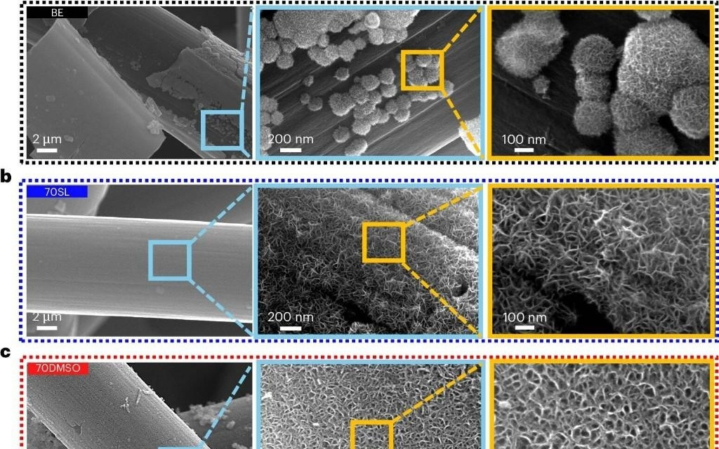 新型水基电解质显著提升锌锰电池稳定性