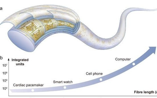 “纤维芯片”来了！复旦大学科研团队在高分子纤维内实现大规模集成电路