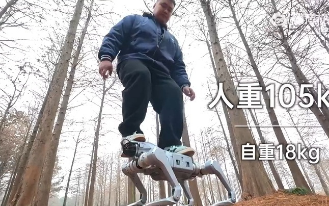 宇树科技，重磅发布！