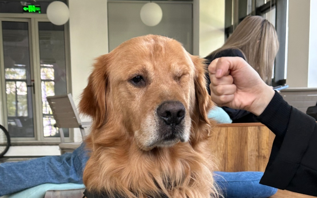 为了春节能安心躺平，我把所有App都用AI魔改了一遍。。。