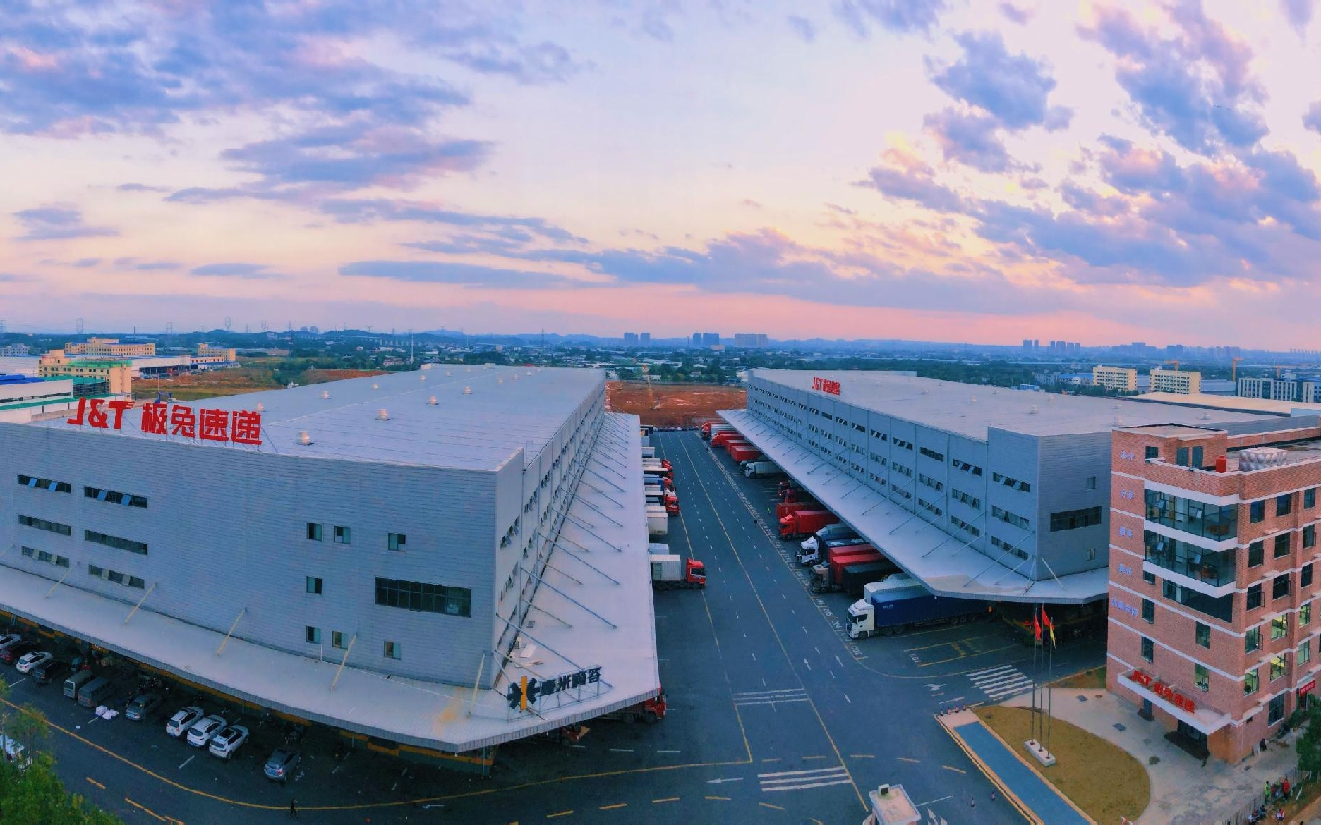 全年包裹量突破300亿大关！极兔全球化迎来收获期