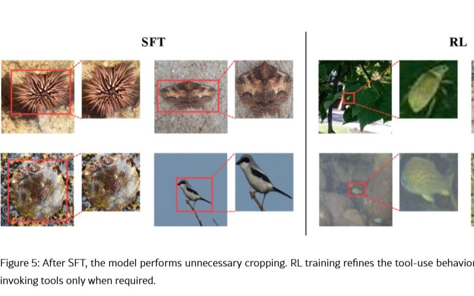 遏制AI幻觉:苹果DeepMMSearch-R1论文揭秘“图像裁剪”搜索术
