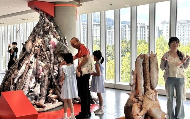 “反美学”现象解构新消费，专家：“丑东西”热背后是淘宝上百万中小商家创新发展的的好机会