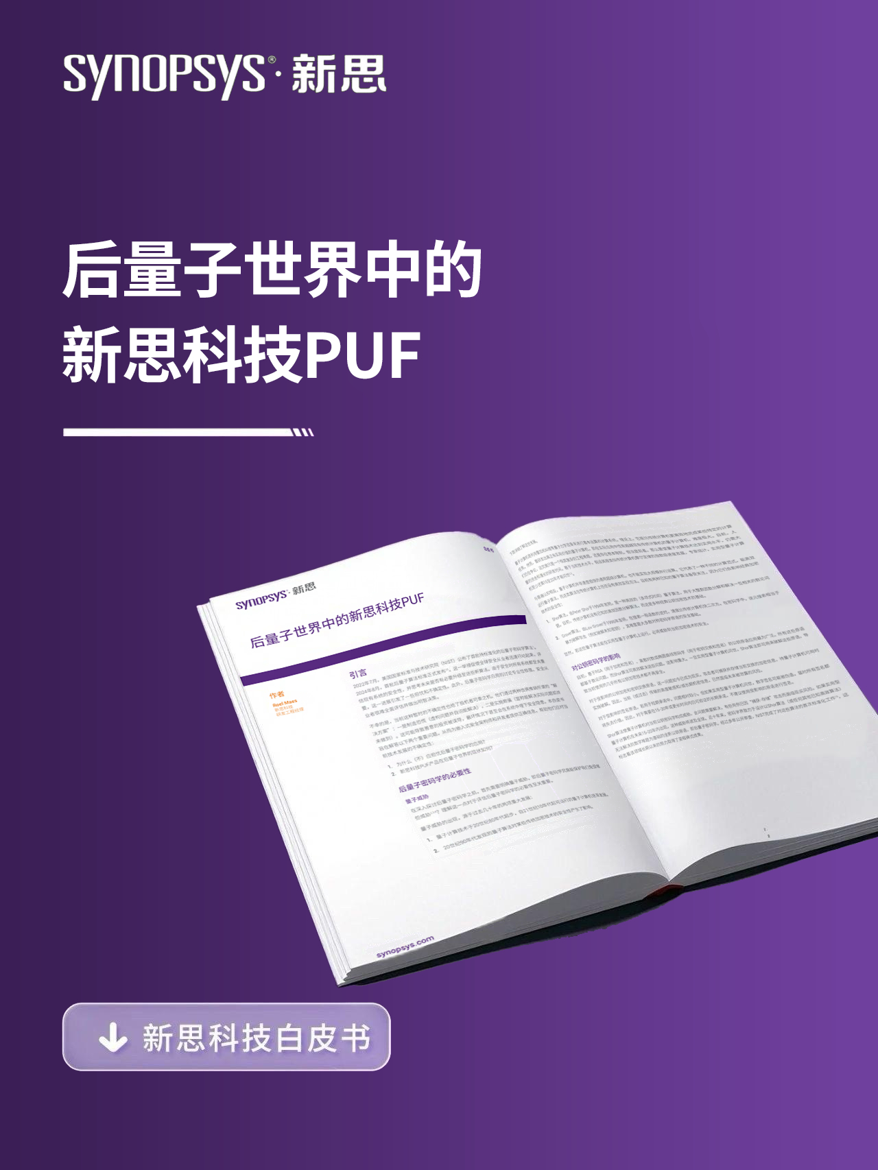 后量子世界中的新思科技PUF丨下载白皮书
