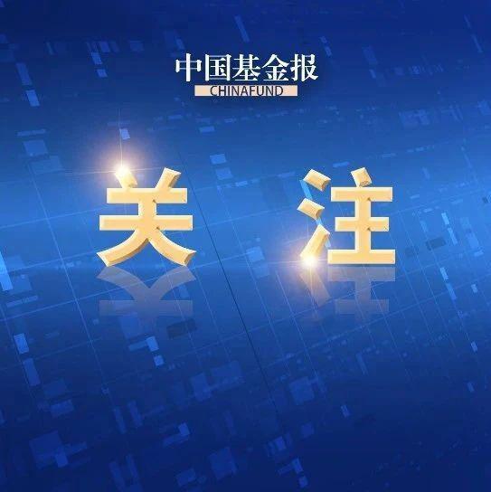 刚刚，美团、淘宝闪购、饿了么、京东，集体发声！