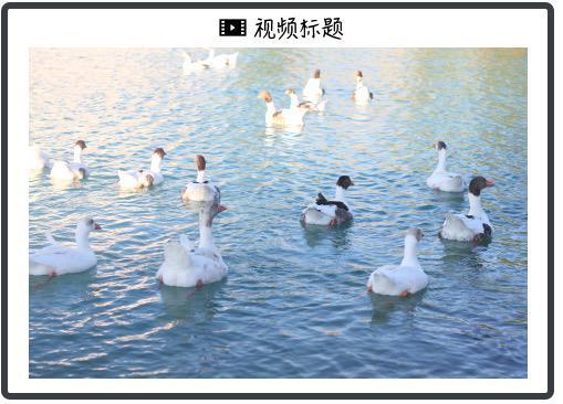亚马逊为货车司机开发AR眼镜：显示货物信息，扫描包裹，显示路径