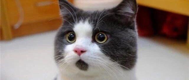 刚刚!减持套现70亿!