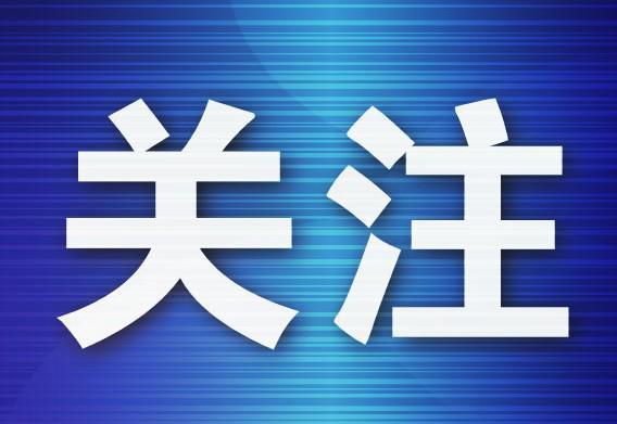 大连海鲜成双十一最热销特产之一 海参大虾扇贝备受追捧