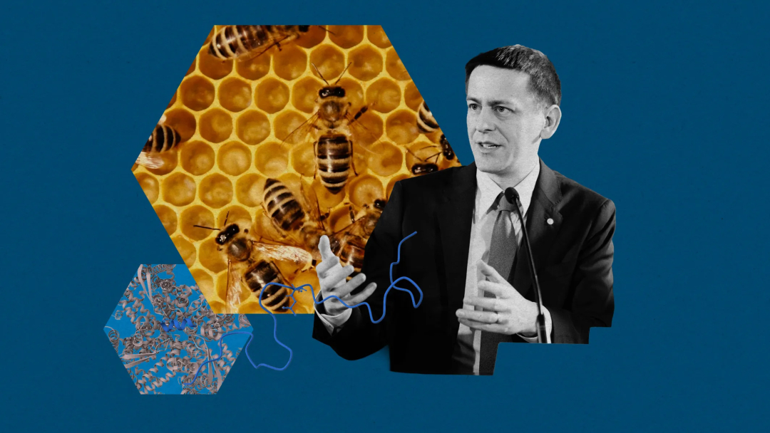 AlphaFold的下一步是什么？对话诺奖得主John Jumper