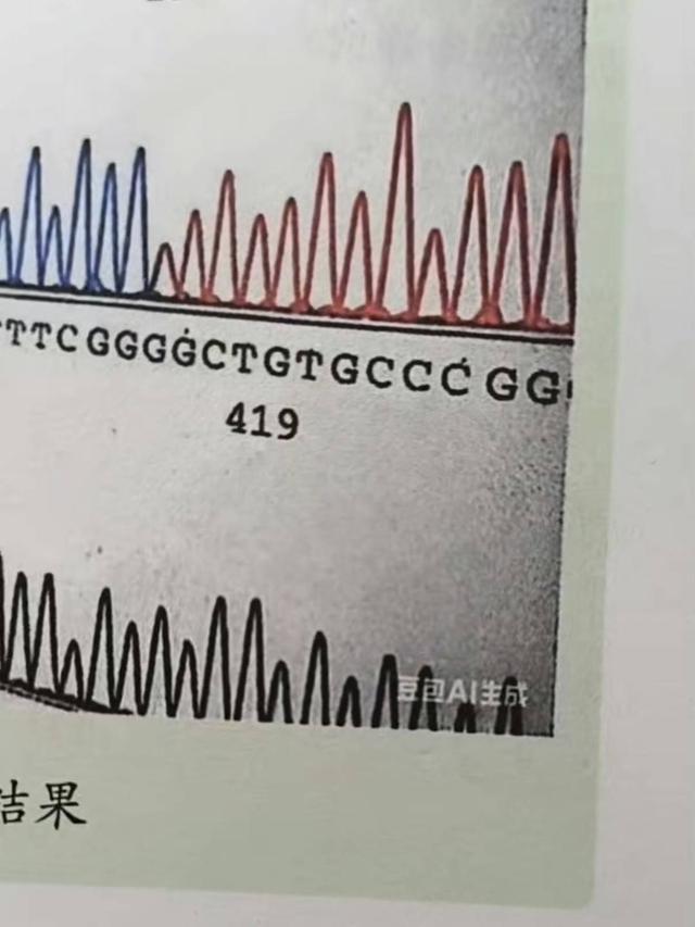 教材AI水印风波背后:AI写的书,版权算谁的?