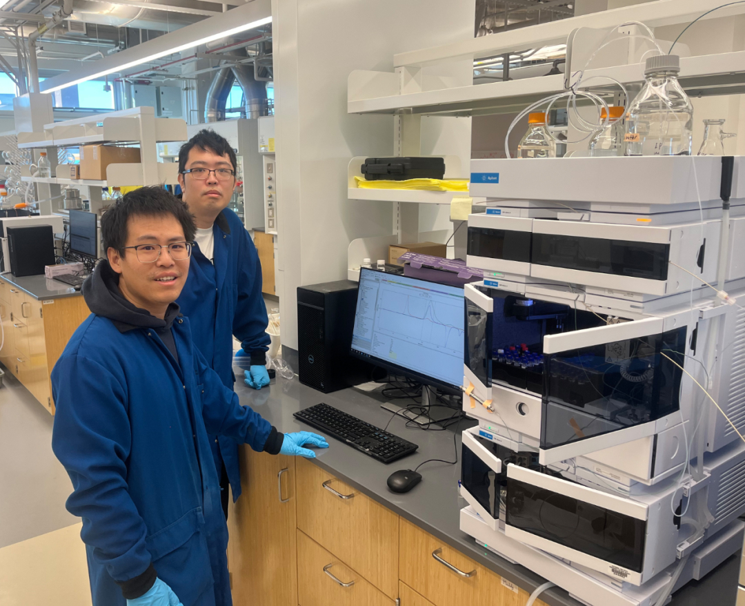 將RNA的自毀密碼寫入塑料：科學家實現高分子材料的可編程降解