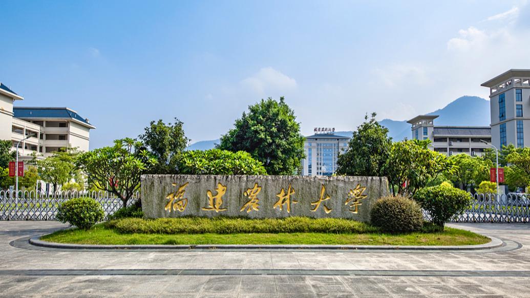 福建农林大学2000万元转让“水稻抗褐飞虱基因”专利技术