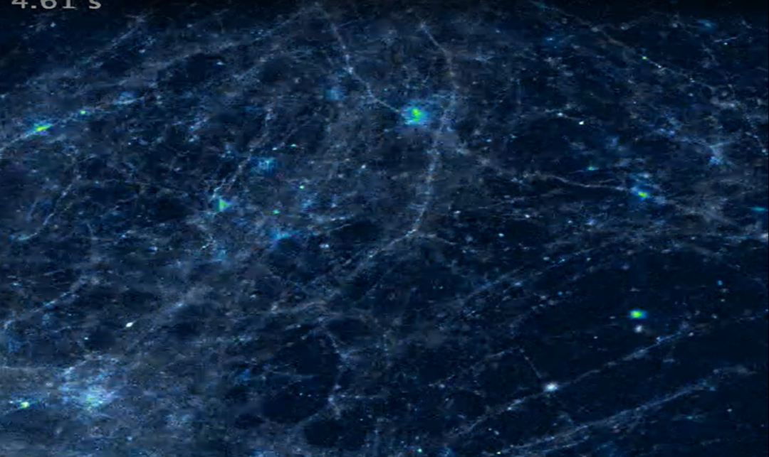 科学家首次实时捕捉神经元接收信号，突破百年观测瓶颈