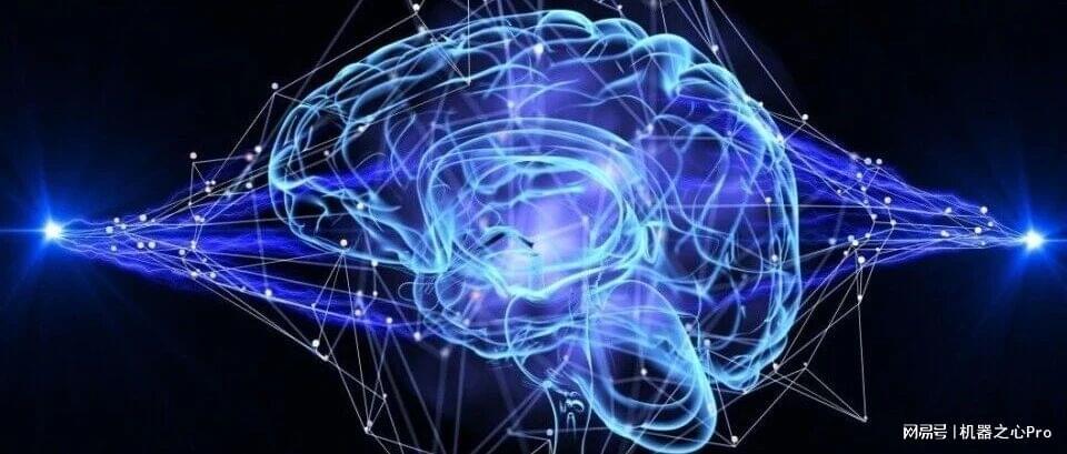 大模型长脑子了？研究发现LLM中层会自发模拟人脑进化