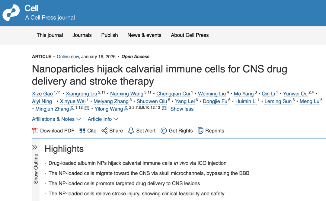 微创、高效、直达大脑！我国科学家开辟脑卒中病灶给药新路径