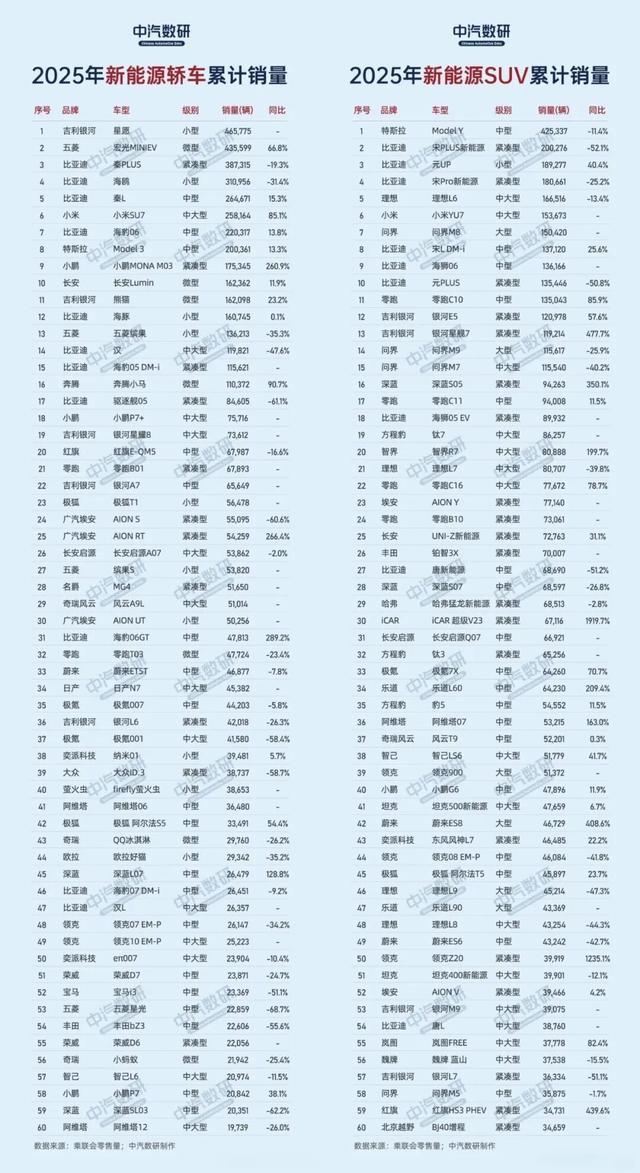 2025年新能源汽车累计销量榜