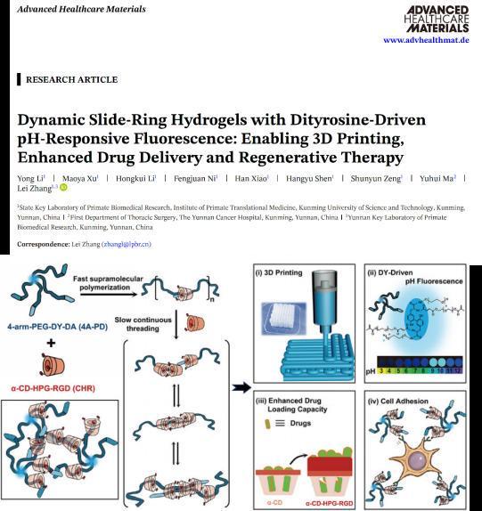 新型多功能智能水凝胶成功研发